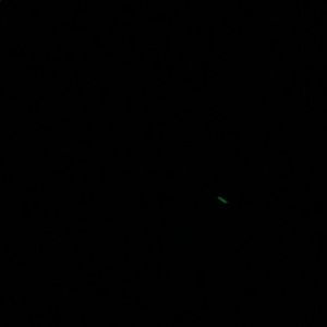 Meet your Posher, Jon